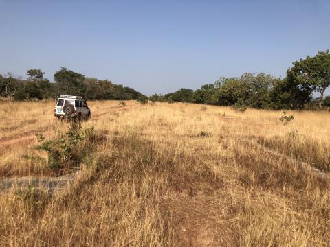 Sambailo runway rehabilitation